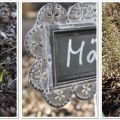 Frühling