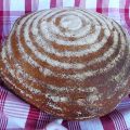 Pane Plötziade