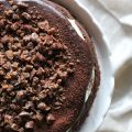 Brownie-Kuchen mit sündigem Guss
