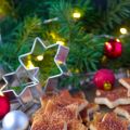 Aus der Weihnachtsbäckerei: Zimtsterne mal[...]