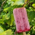Jostabeer-Buttermilch-Stieleis