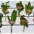 {Frankfurter Mädche} - Kartoffel-Muffins mit[...]
