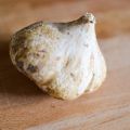 Ausprobiert: Jicama
