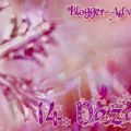 Blog-Adventskalender - Türchen 14