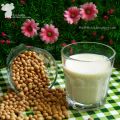 Laktosefrei genießen ♥ Sojamilch selber machen