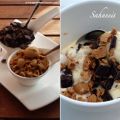 Sahneeis