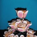 Cranberry-Nuss-Muffins
