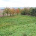 Mein 1. Gartenjahr  -  Teil 1