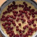 Obstkuchen mit Pudding-Quark-Decke
