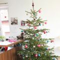 Unsere Weihnachtsgeschenke