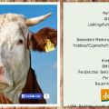 Endlich Sommer! Zeit für Sommerrezepte