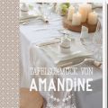 Buchempfehlung und Giveaway