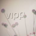 vipp flower-styling event