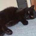 So was wie Urlaub - Wochenrückblick vom[...]
