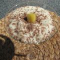 Kokos-Ananas-Crème