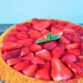Der weltbeste Obst-Biskuit-Boden im Test