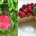 Rosenwasser und Erdbeerkuchen - Duft und Farbe[...]