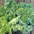 All hail the curly kale!