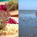 Vegan MoFo 2014 - The Roundup!