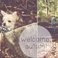 OKAY, OKAY/welcome, autum