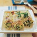 Cannelloni mit Zucchinifüllung