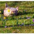 Die ersten Frühlingsboten im Garten