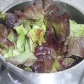 Salatplatte mit Hähnchenstreifen
