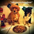 Adventskalender Türchen 21 - Zuckersnörs