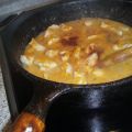 Hähnchenragout mit Aprikosen