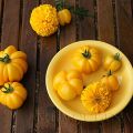 Tomaten Shooting II: Tarte mit glasierten[...]