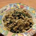 Farfalle mit Thunfisch, Spinat und Pesto