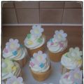 Frühlings-Cupcakes mit Himbeeren