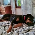 Senhor Sancho hat was gefressen - Tag 7 (der[...]