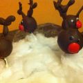 Elch-Cakepops