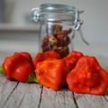 CHILI - zwischen Schmerz und Euphorie