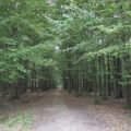 12tel Blick plus Herbstdeko