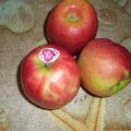 Appel Crumble