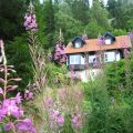 XY-Bilder-Countdown bis Schweden Ingsjön -[...]