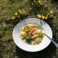Knödelchen mit Broccoli-Gorgonzola-Sauce und[...]