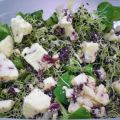 Salat mit Zwiebelsprossen und Cranberrykäse