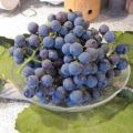 Uhudler (Rote-Weintrauben) - Marmelade