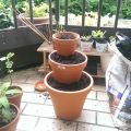 Neues aus Balkonien. Oder: Ich bau mir einen[...]
