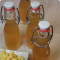 Selbstgemacht: Ingwer Sirup