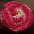 LUSH #02
