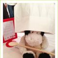 Das 1. Baking Atelier in Wien - #bakevie