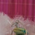Meine ersten Macarons und die Frage: Was denken[...]