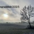 Jahresrückblick 2025