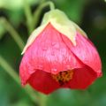 Nature's beauty