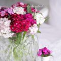 Friday Flowerday