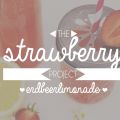 the strawberry project {Erdbeerlimonade}